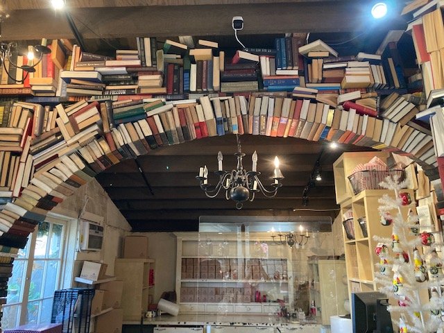 Can Anyone Be a Published Author?