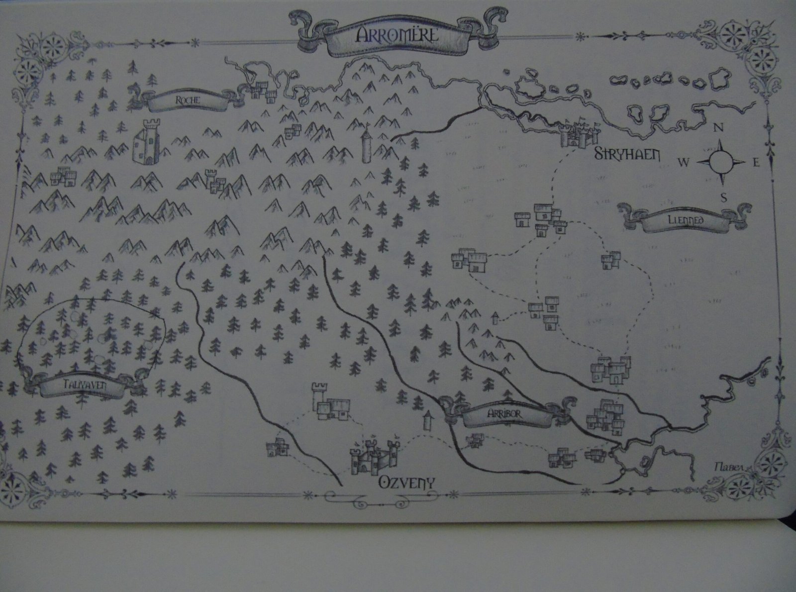 Map from "The Lost Bard of Taliyaven"