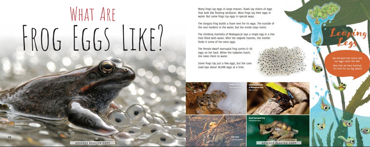Ribbit! The Truth About Frogs: fact sheet 