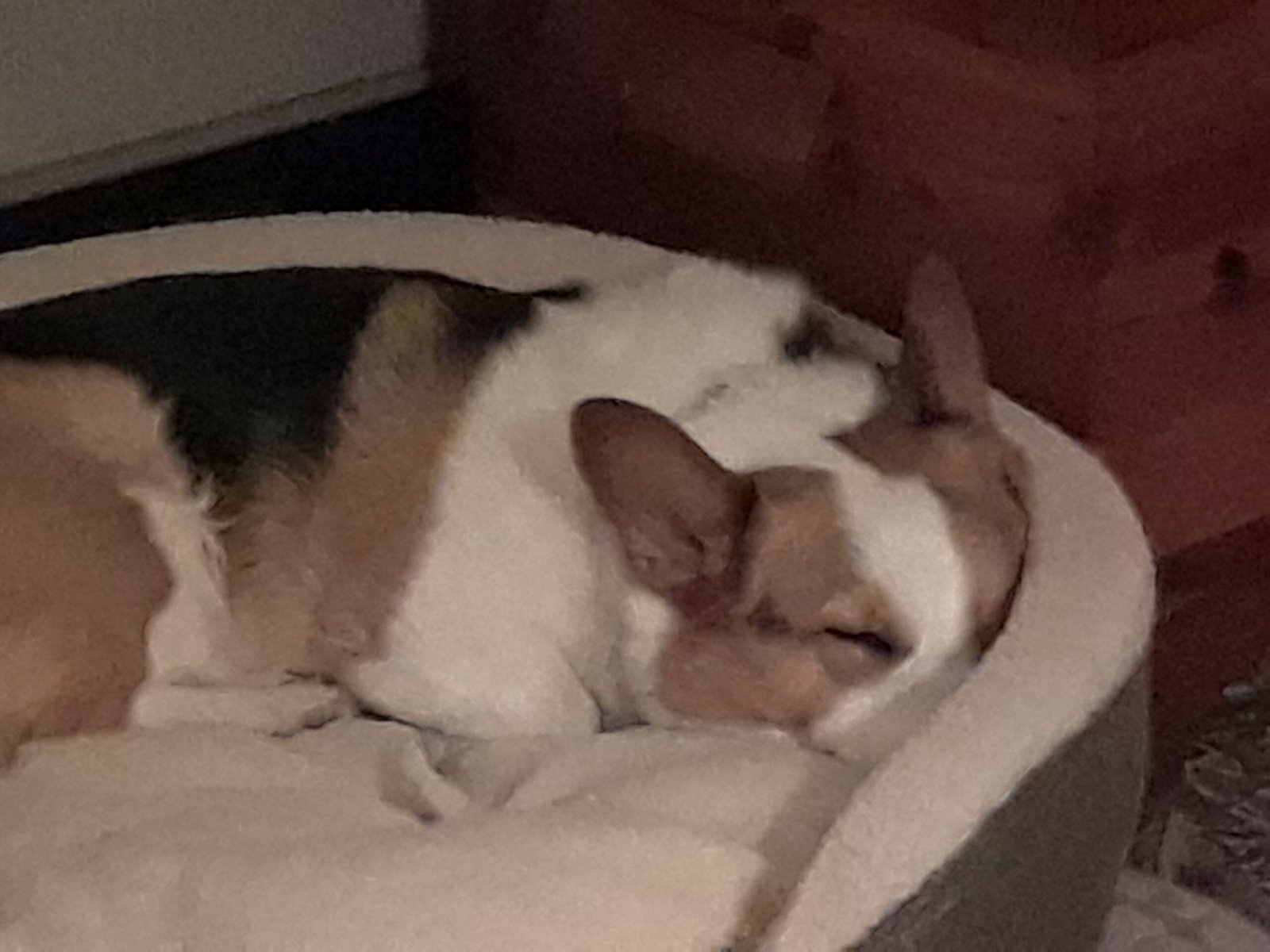 Writers Need Rest to Maintain Their Creativity, Part 1