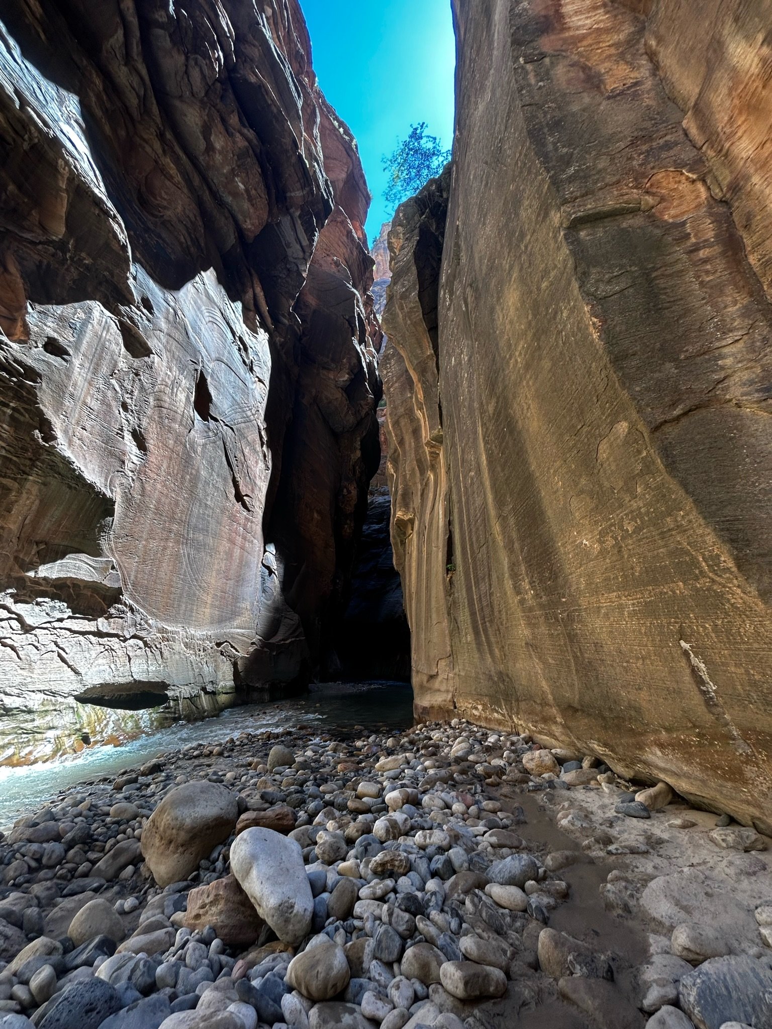 Look Up!  A Devotion by Mindy Baker