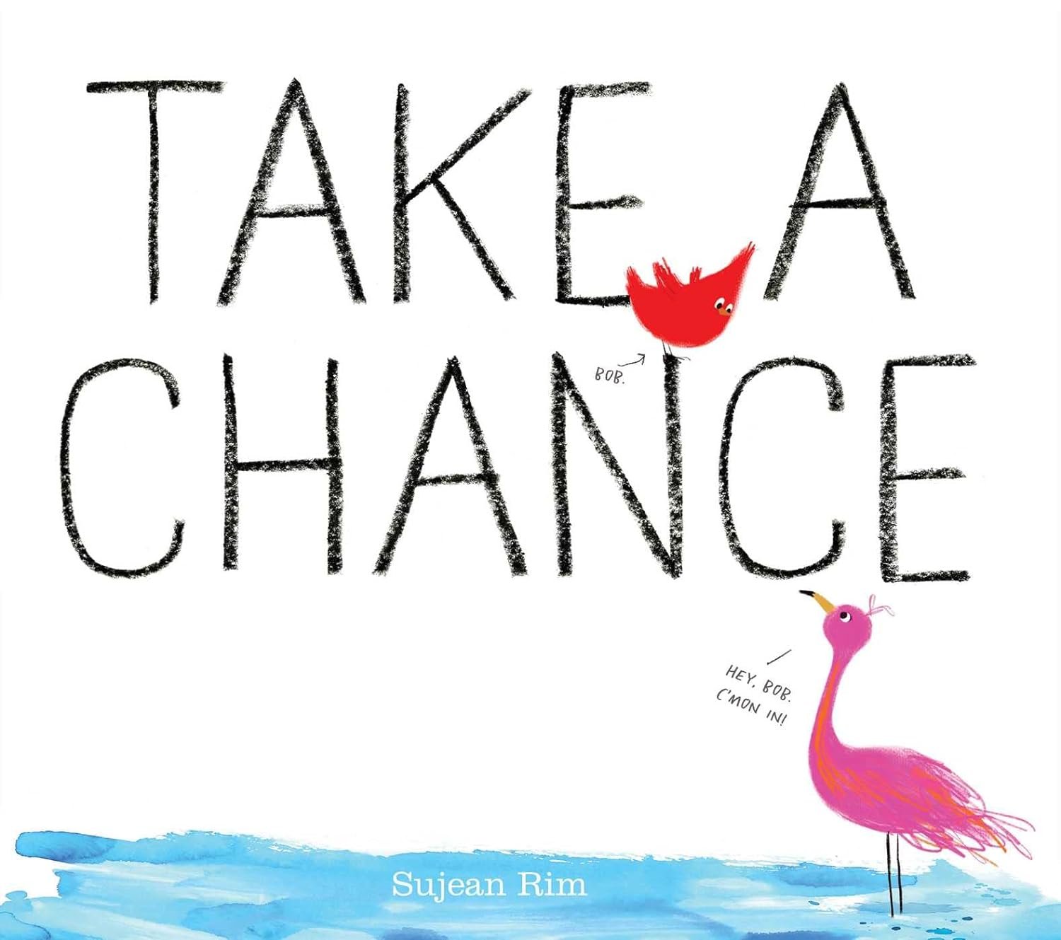 Cover image of Take a Chance, a red bird and a flamingo standing in blue water