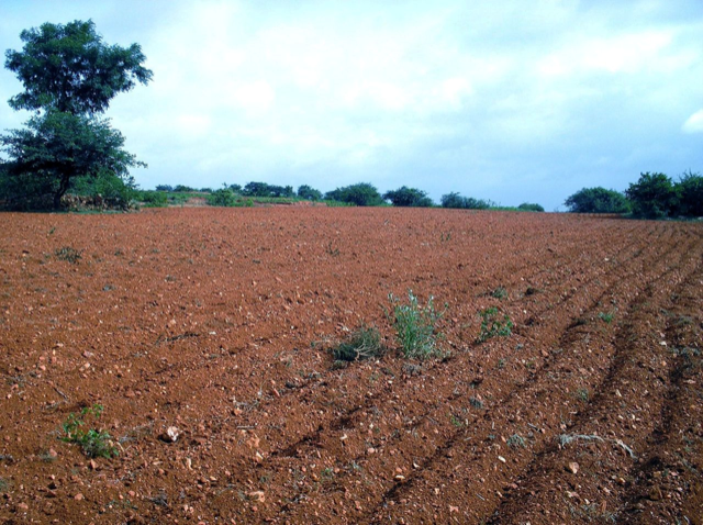 Fallow: What Does a Season of Writing Rest Look Like? by Marci Whitehurst