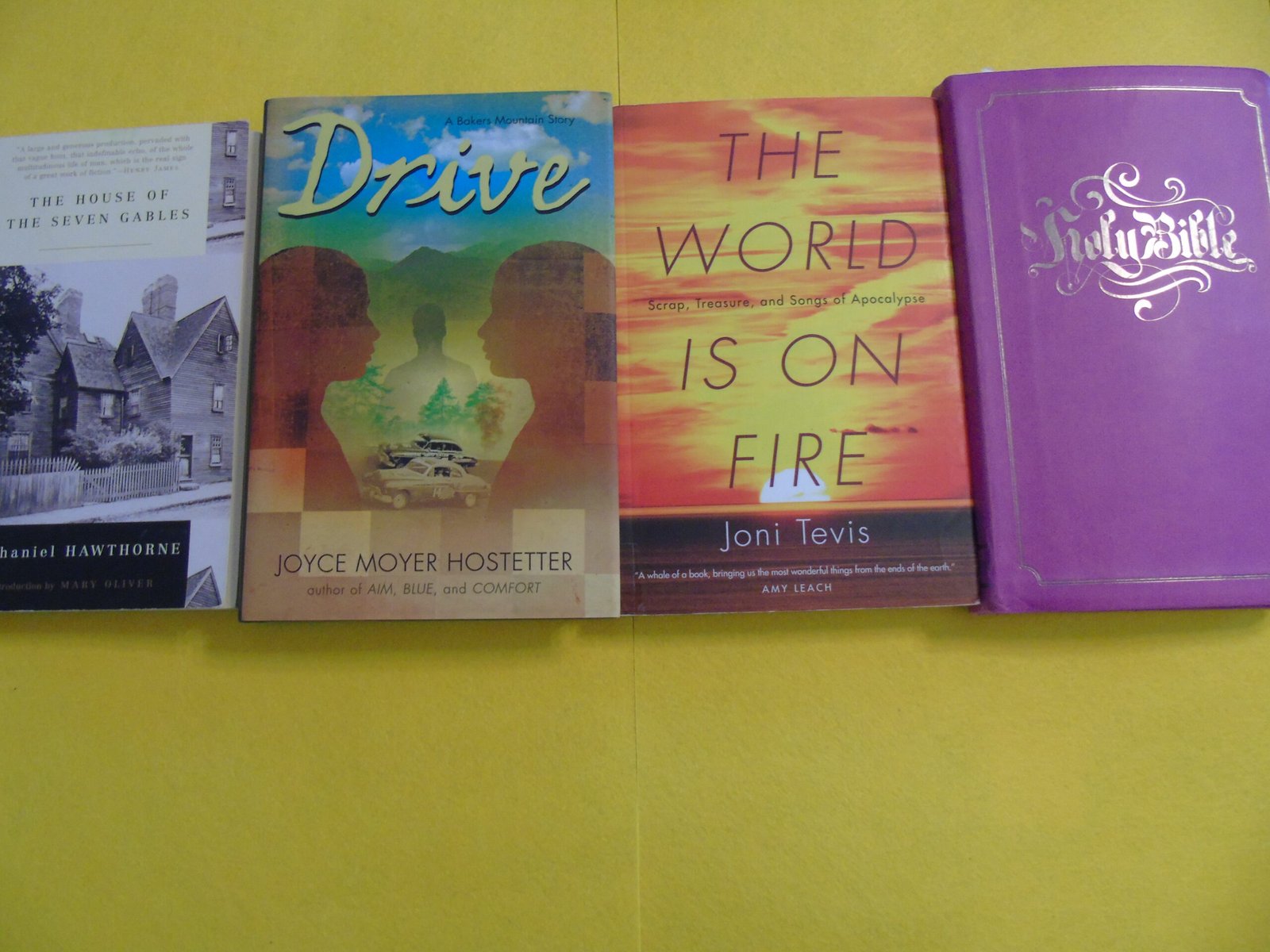 Lyrical Language in Literature