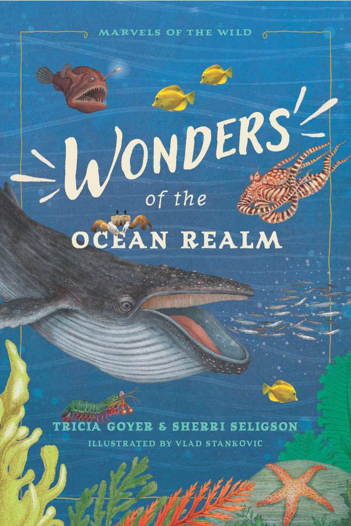 Author Interview with Sherri Seligson by Sue Irwin