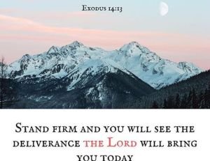 Don’t Retreat, Advance!