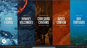 Writer, Do You Have the Cabin Fever Blues?