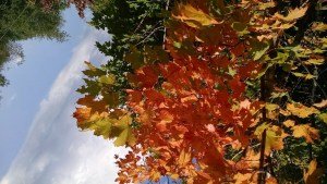 Write in The Corner Where You Are