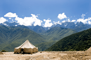 Shelter in Place, by Carol Baldwin