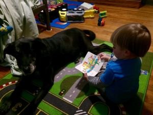 5 Tips for Using and Understanding Literal and Figurative Language Part I