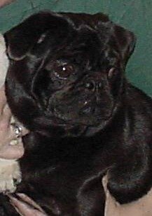 Inspired by God’s Creation