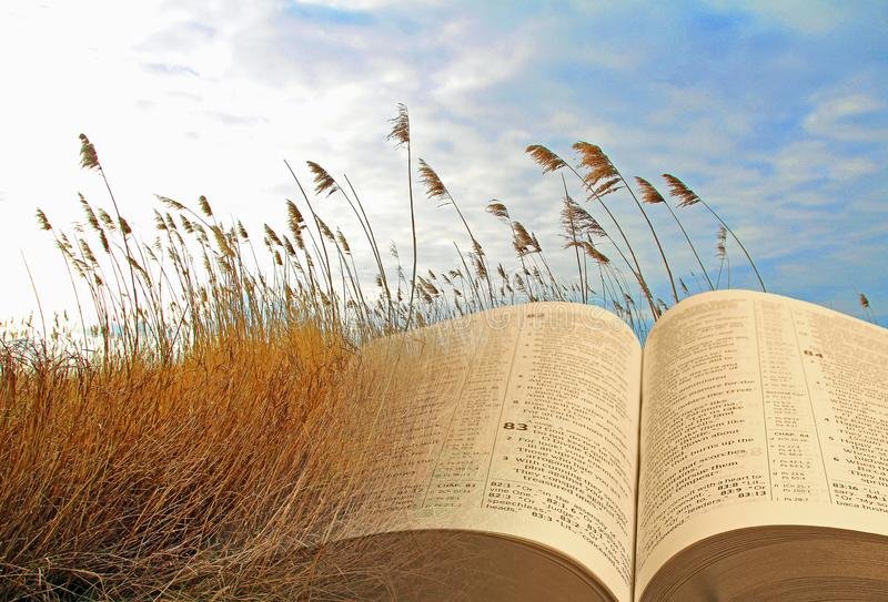 Elements of Parable Writing