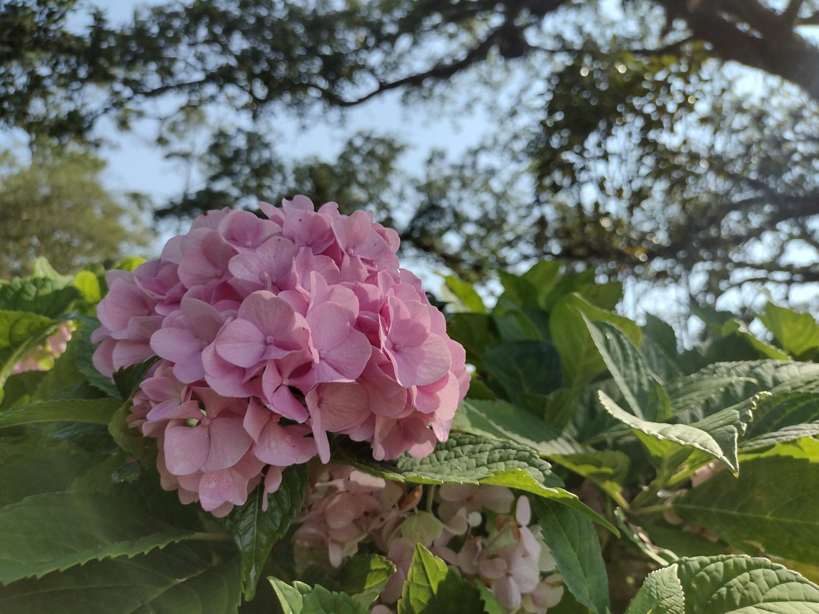 6 Easy Steps to Vacationing As a Writer