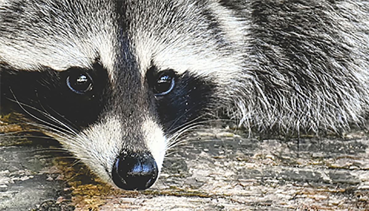 PB Master Class Takeaway: From Frustration to First Draft