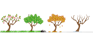 Seasons of a Writer’s Life