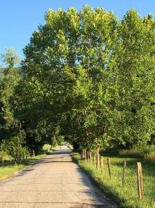 Overcoming a Writer’s Fears by Attending Conferences