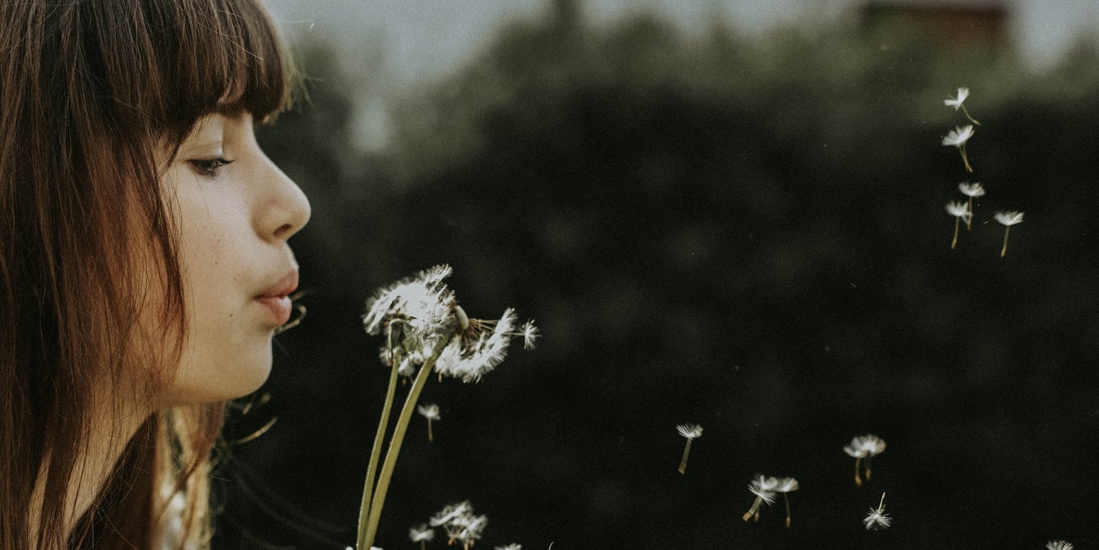 Dandelion Wishes vs. Prayer