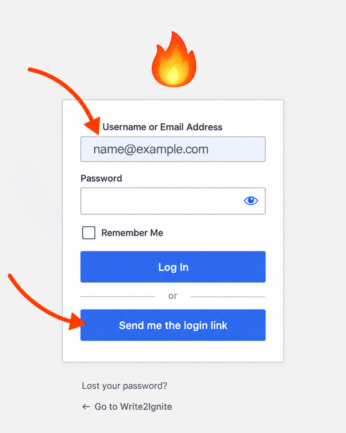 Write2Ignite login page showing where to enter your email and click Send me the login link.